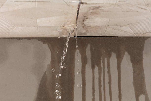 Professional Water Damage Repair technician working in Derby, CT